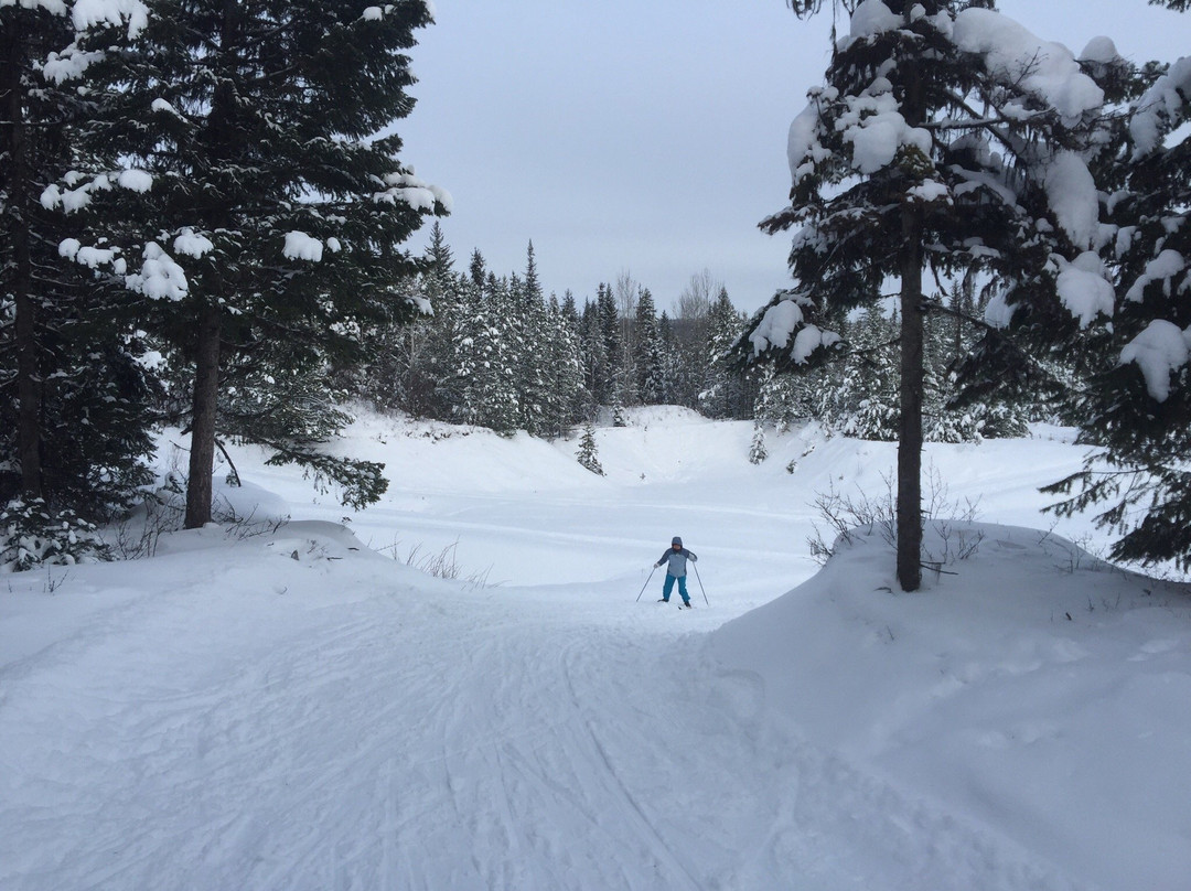 Caledonia Nordic Ski Club景点图片