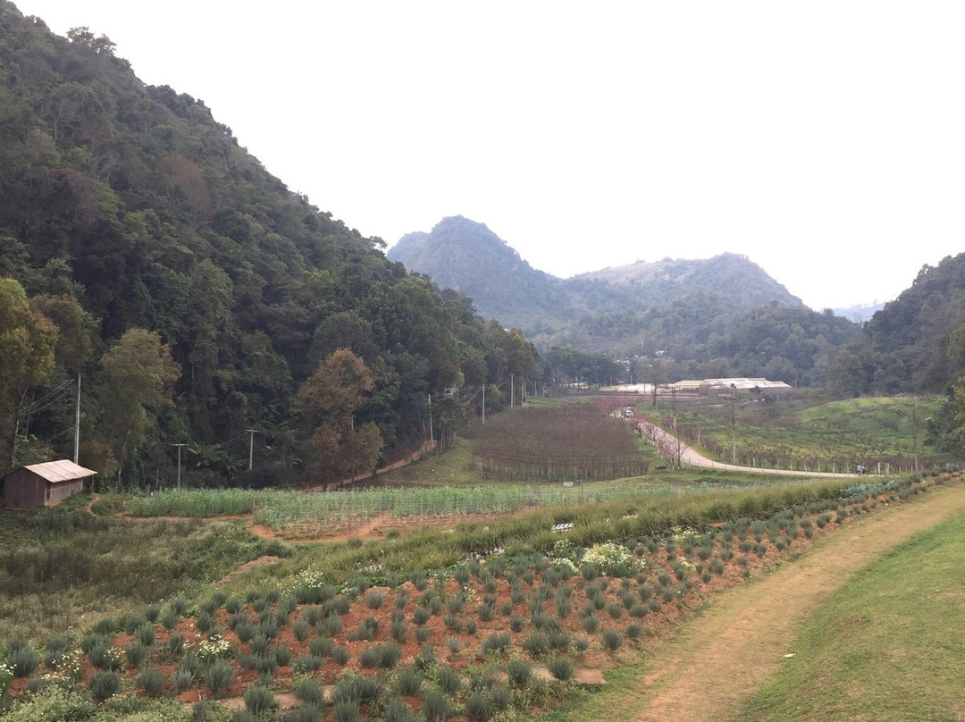 The Royal Agricultural Station Angkhang-芳县必去景点