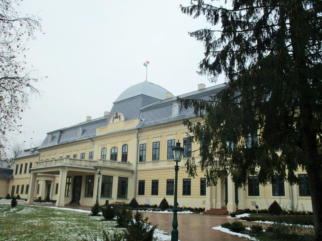 Gyula Almásy Castle景点图片