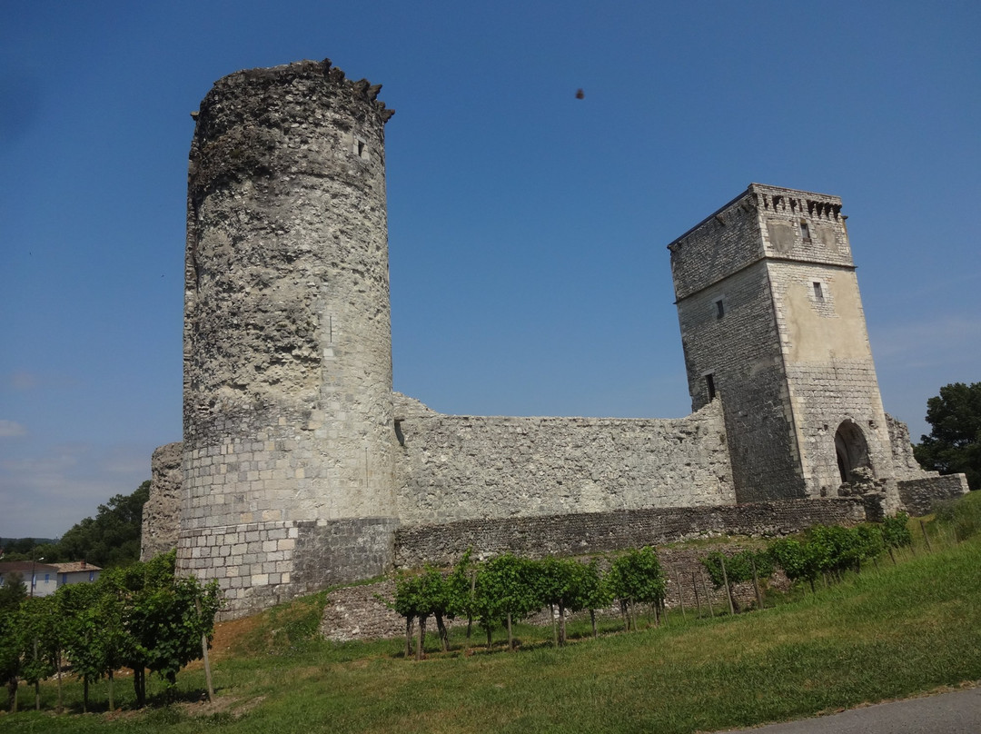 Château de Bellocq景点图片