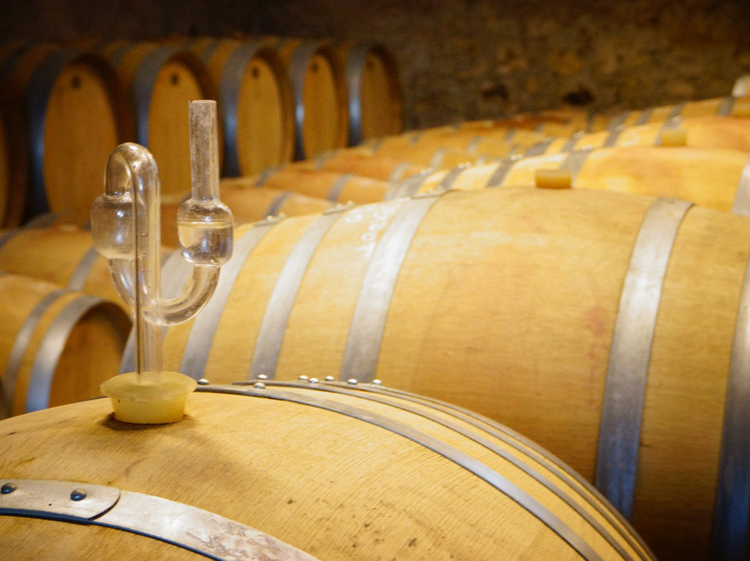 Domaine Verena Wyss-Gabian必去景点