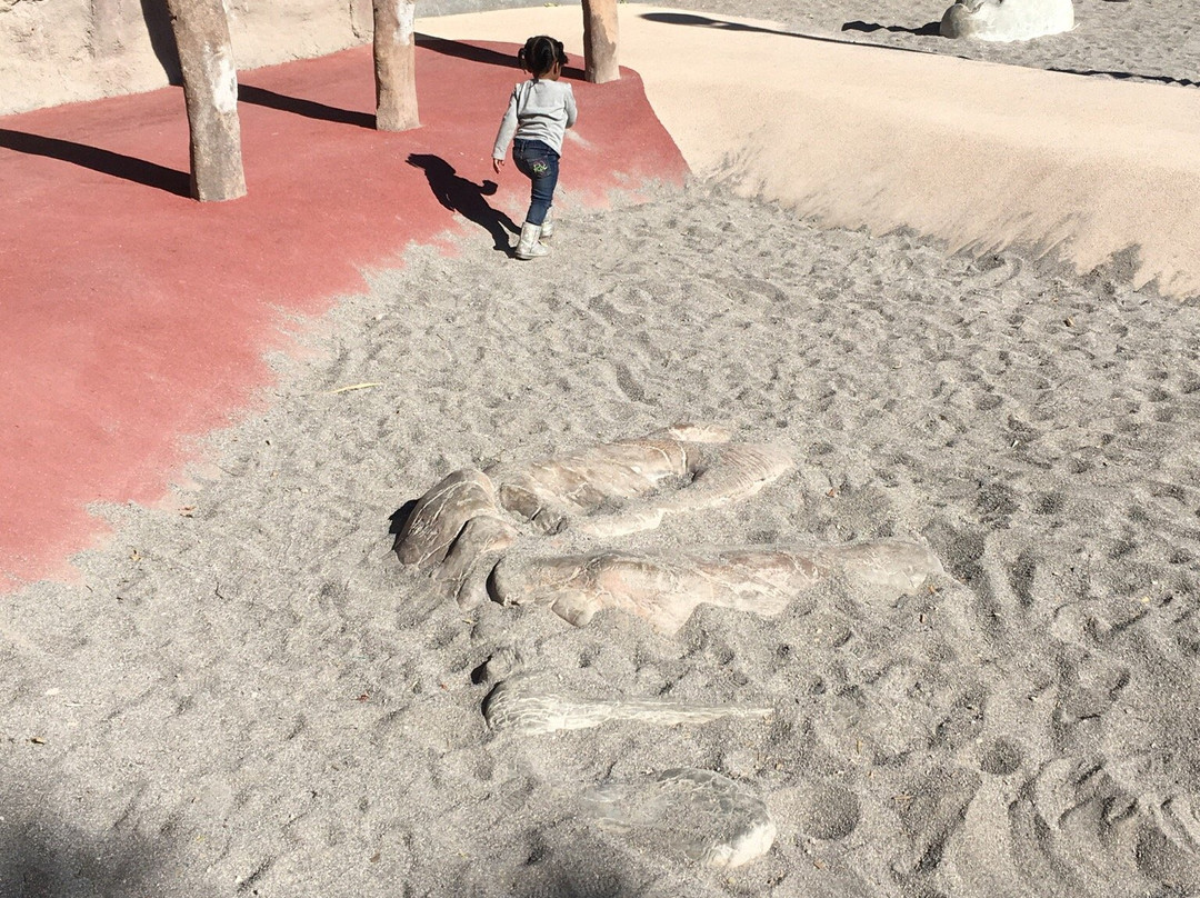 Aliante Nature Discovery Park-北拉斯维加斯必去景点