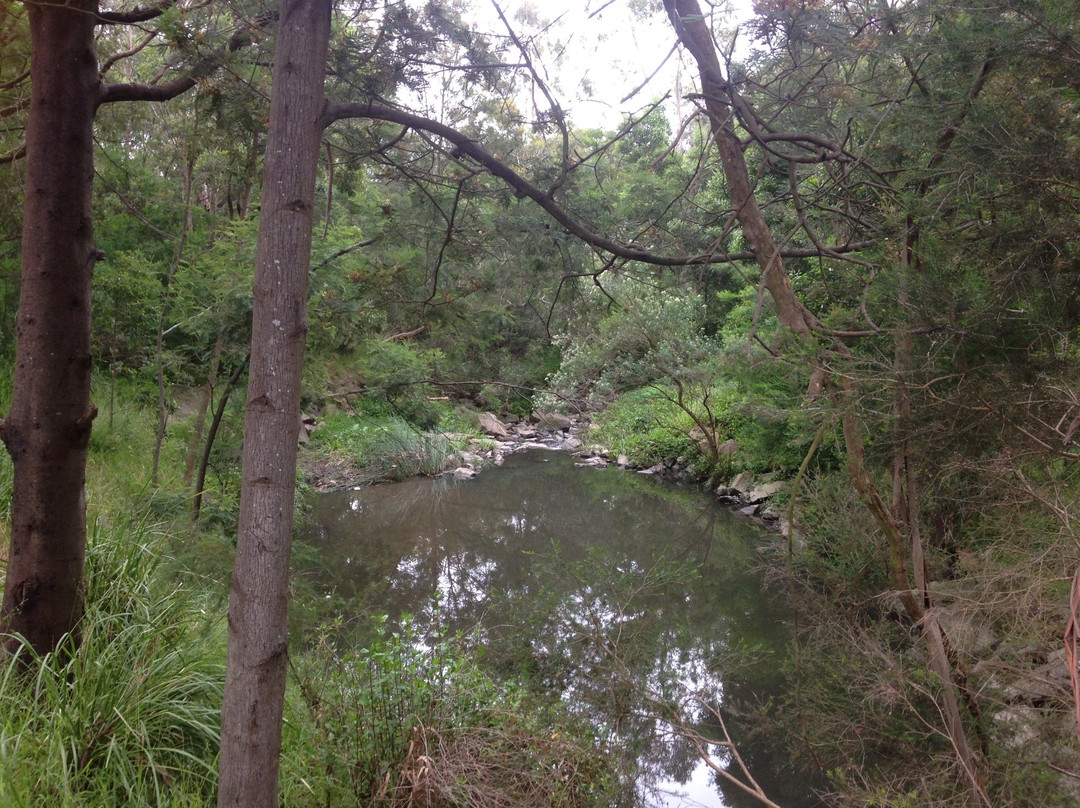 Kalang Park景点图片