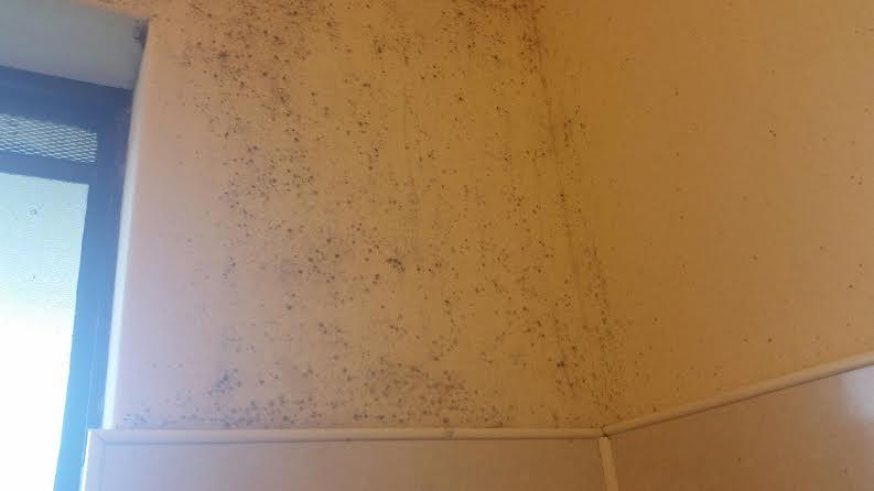 Cronins Gerringong Hotel Motel-客卧