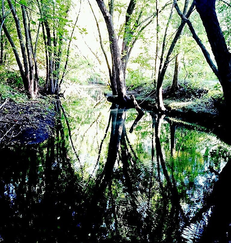Teaneck Creek Conservancy景点图片