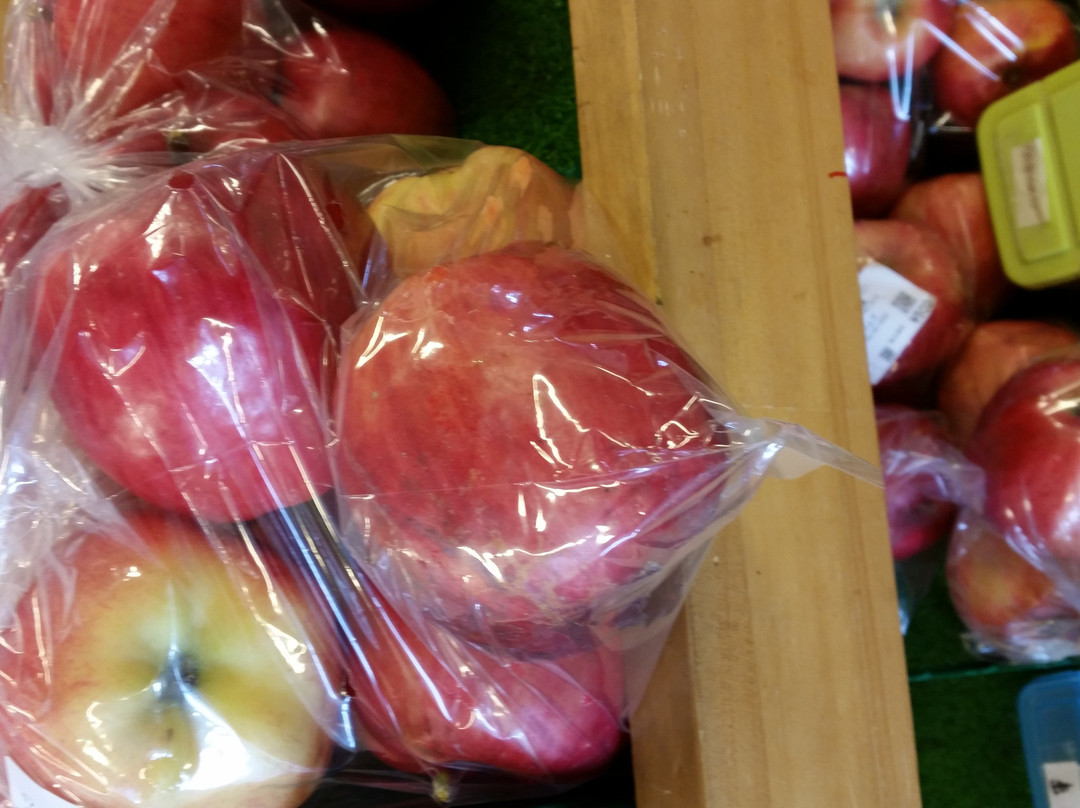 Sobetsujohokanai-壮瞥町必去景点