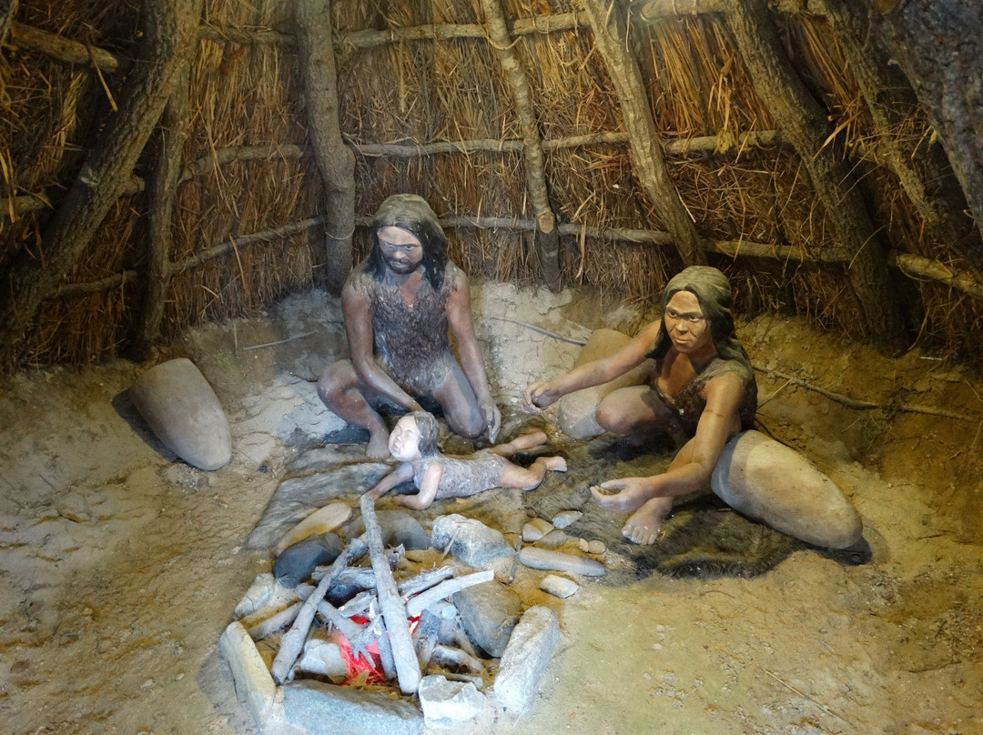 Dunsan Prehistoric Site-大田必去景点