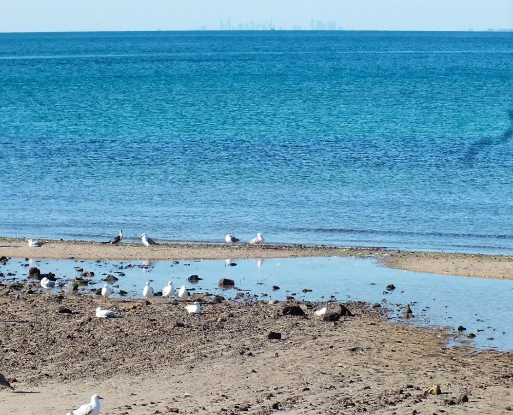Mornington Bay Trail景点图片