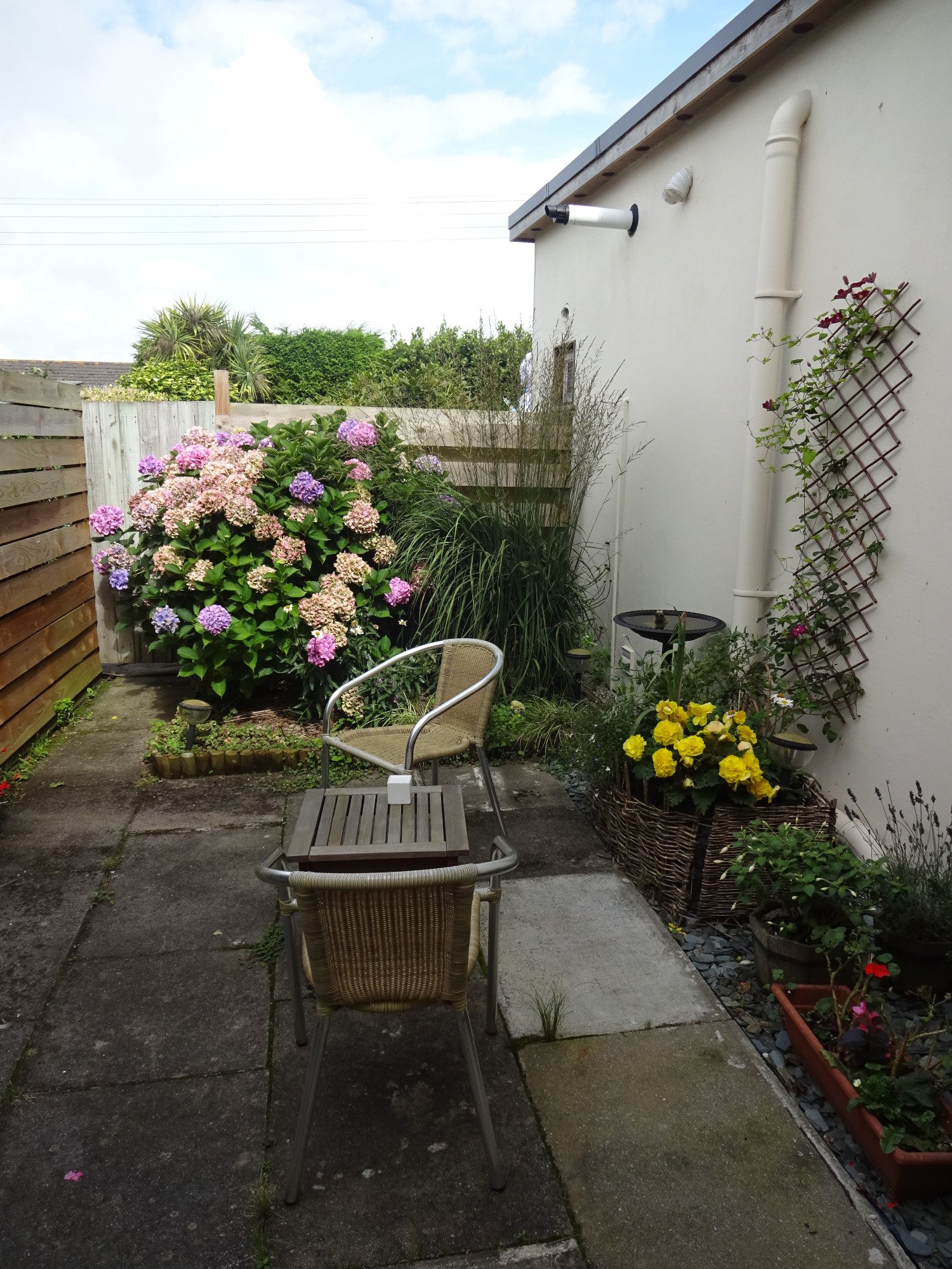 Sunnybank B & B Fowey-酒店景观