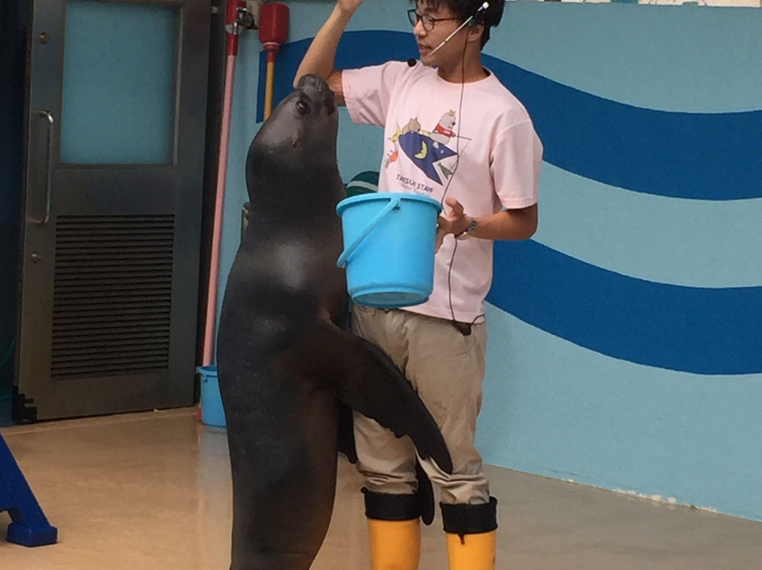 Takeshima Aquerium-蒲郡港必去景点