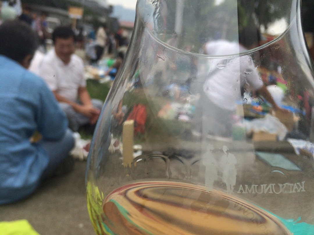 Koshu City Katsunuma Grape Festival景点图片