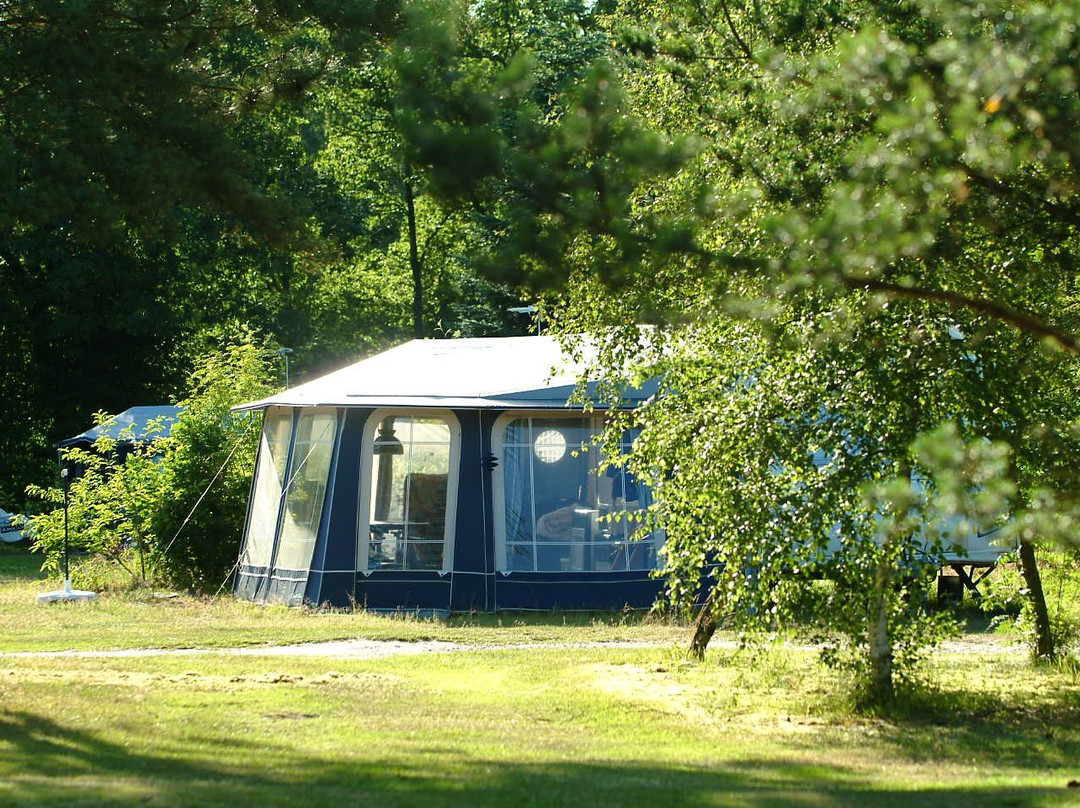 Randers City Camp