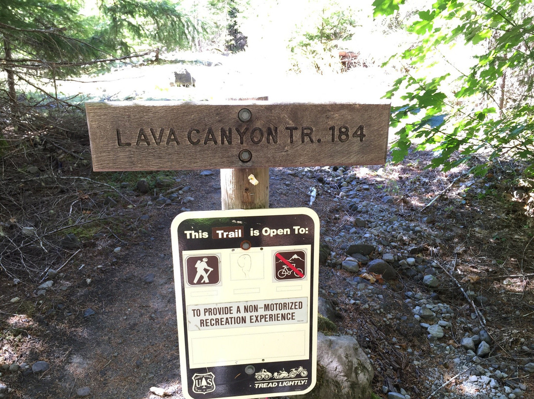 Lava Canyon景点图片