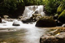 Waterfalls Manuel Antonio景点图片