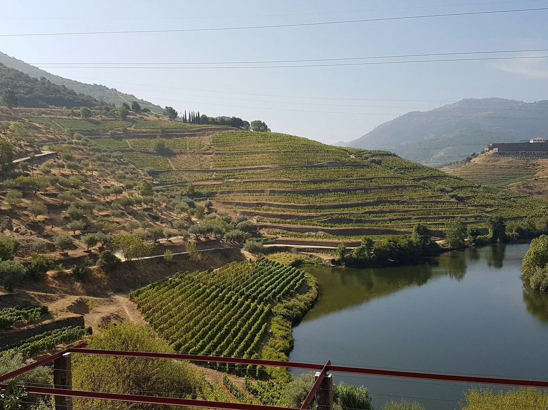Wine Moments & Gourmet景点图片