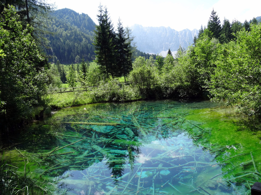 Ferlach旅游景点-Meerauge Bodental