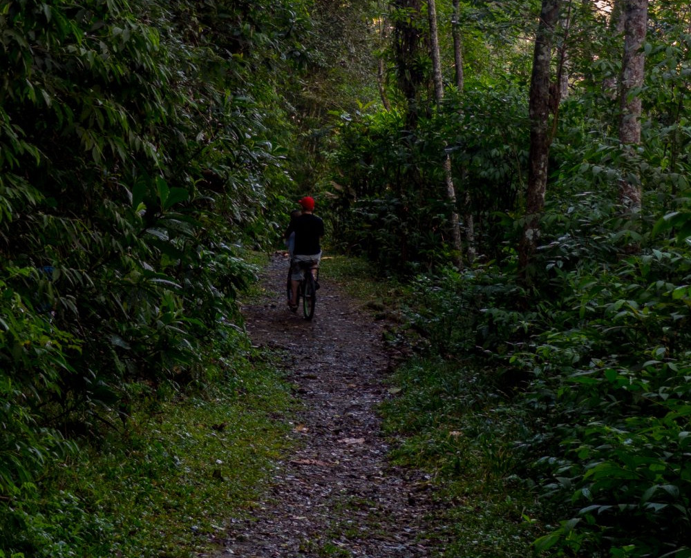 Parque Natural do Pedroso景点图片