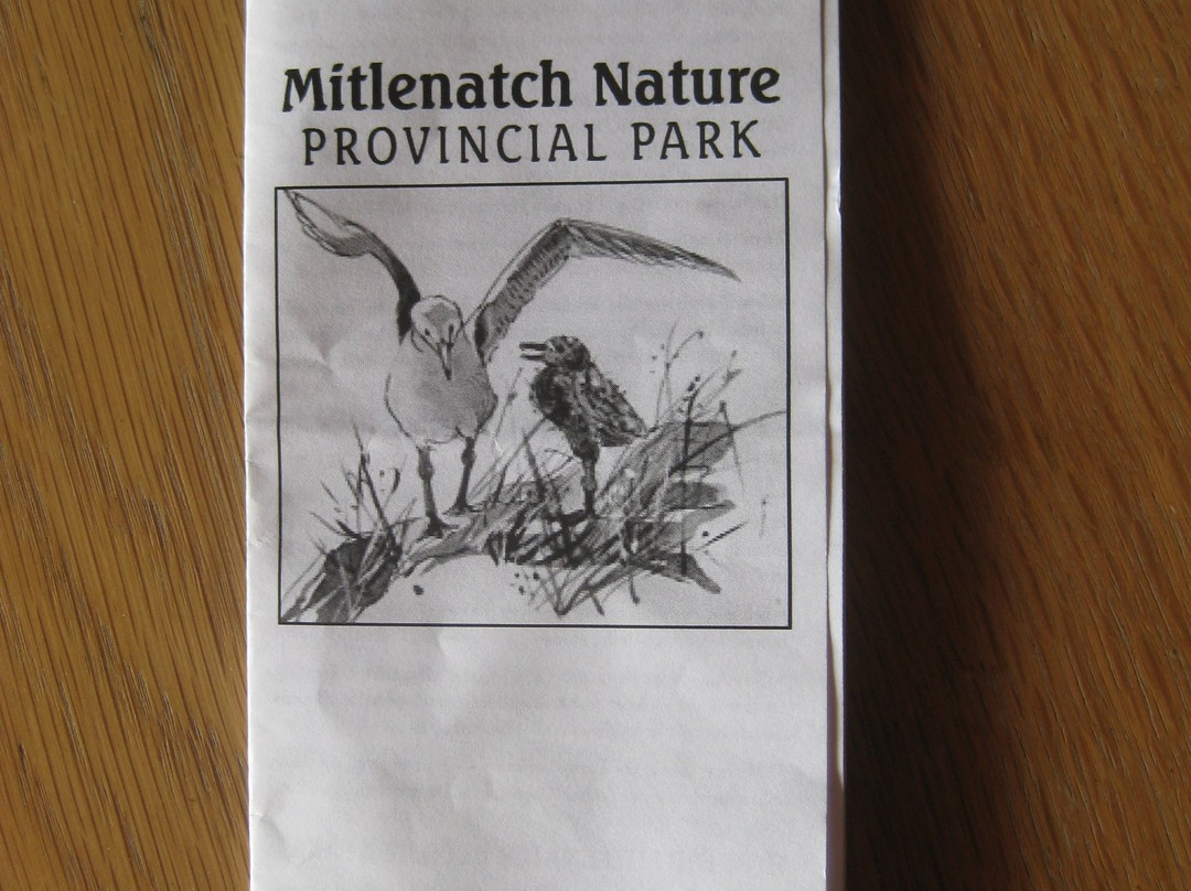 Mitlenatch Island Nature Provincial Park-Mansons Landing必去景点