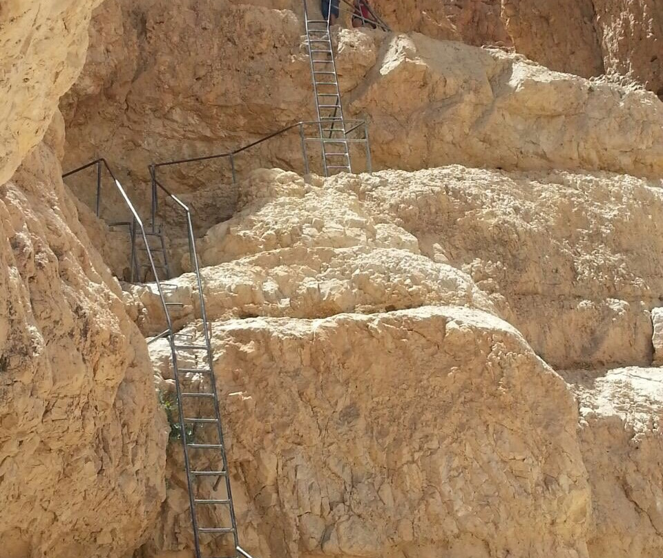 Nahal Tamar-死海地区必去景点