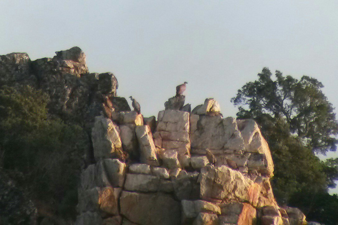 Horcajo De Los Montes旅游攻略图片