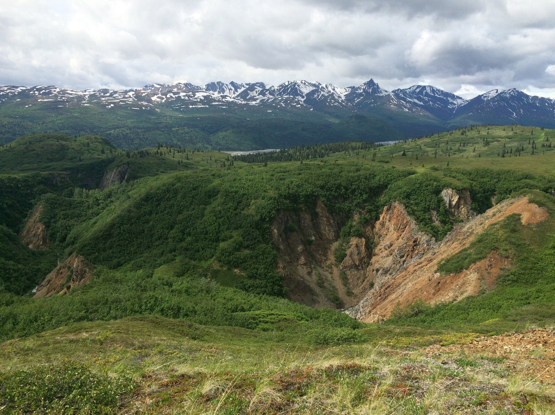 Denali Sightseeing Safaris景点图片