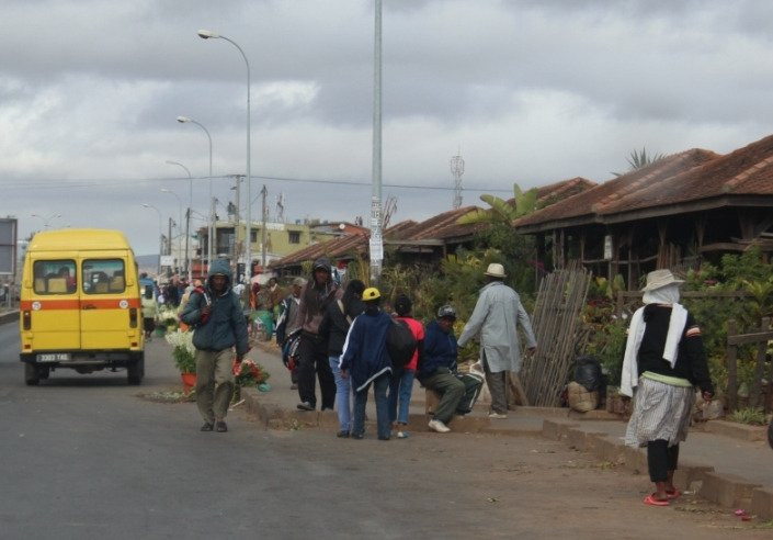 Antananarivo Flower Market景点图片