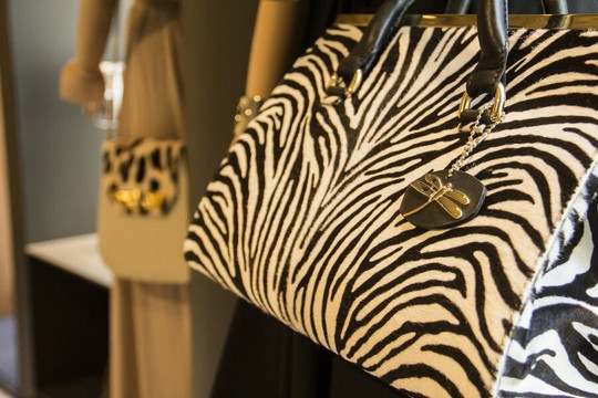 Tara's-马洛卡帕尔马必去景点