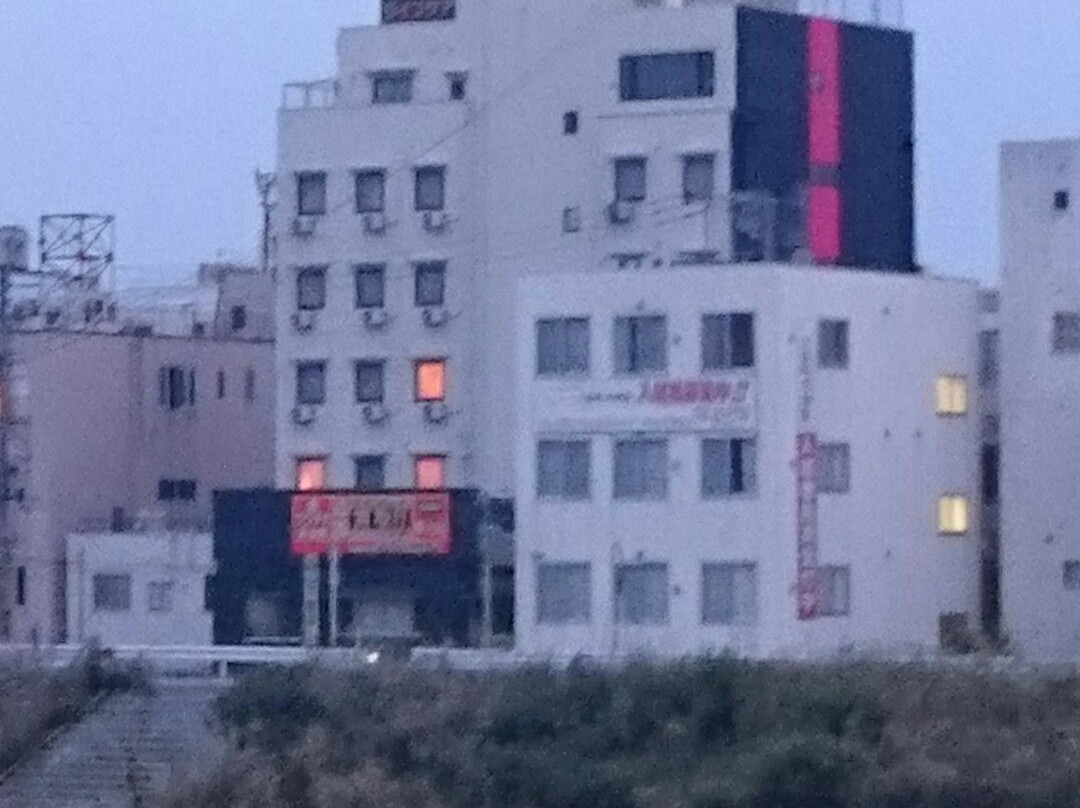 Hotel New Gaea Iizuka主图