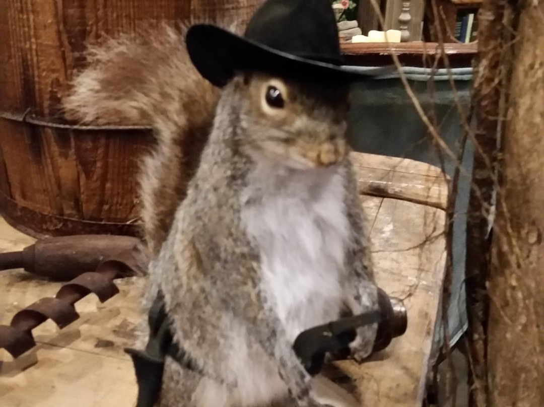 D and J's Good Ole Days Antiques and Oddities-Brady必去景点