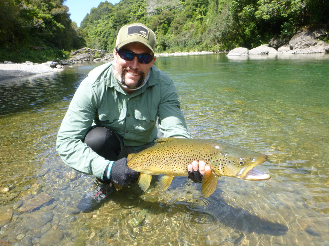 New Zealand Trout Adventures-Collingwood必去景点