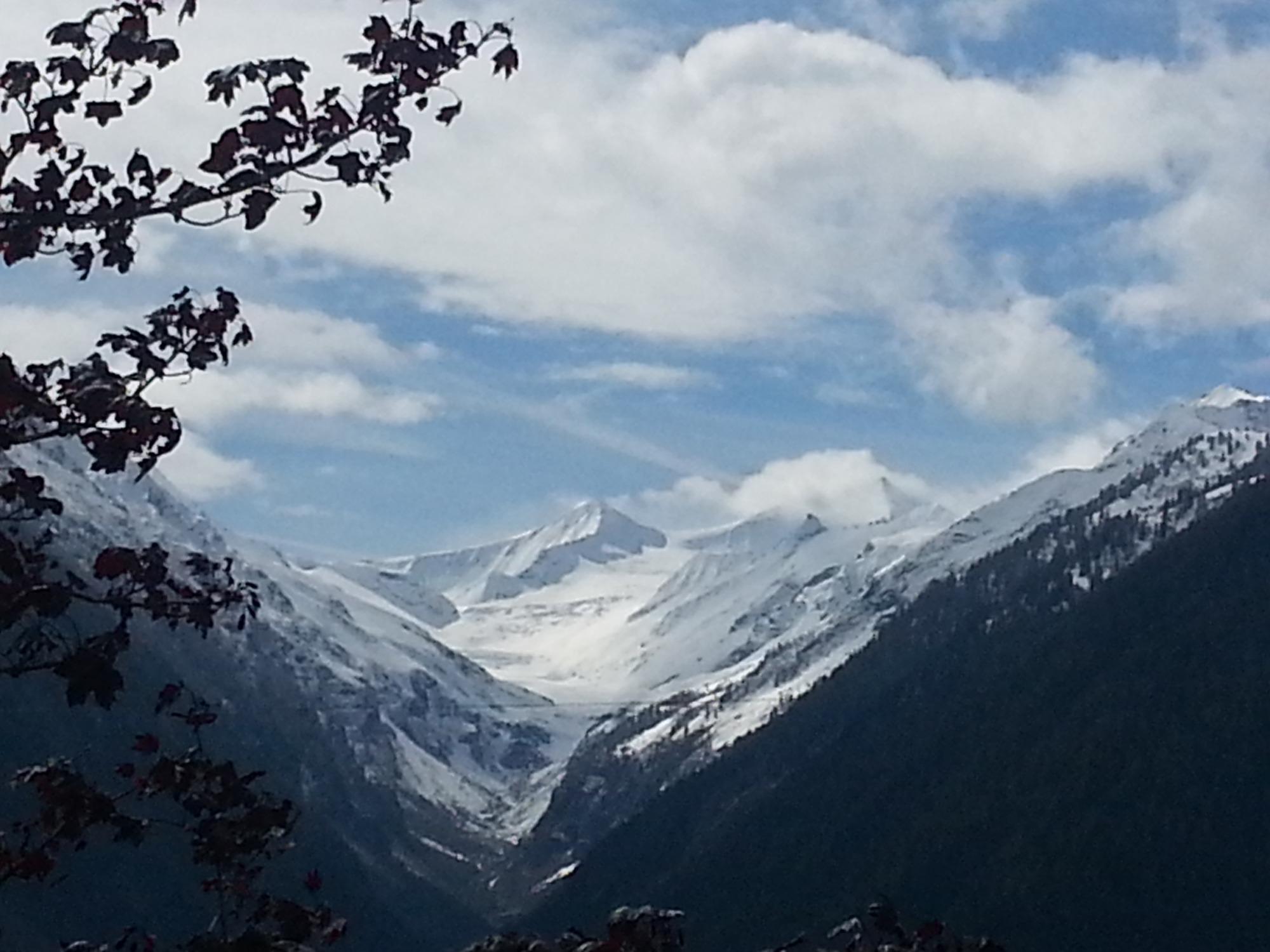 Venedigerhof Gasthof-官方