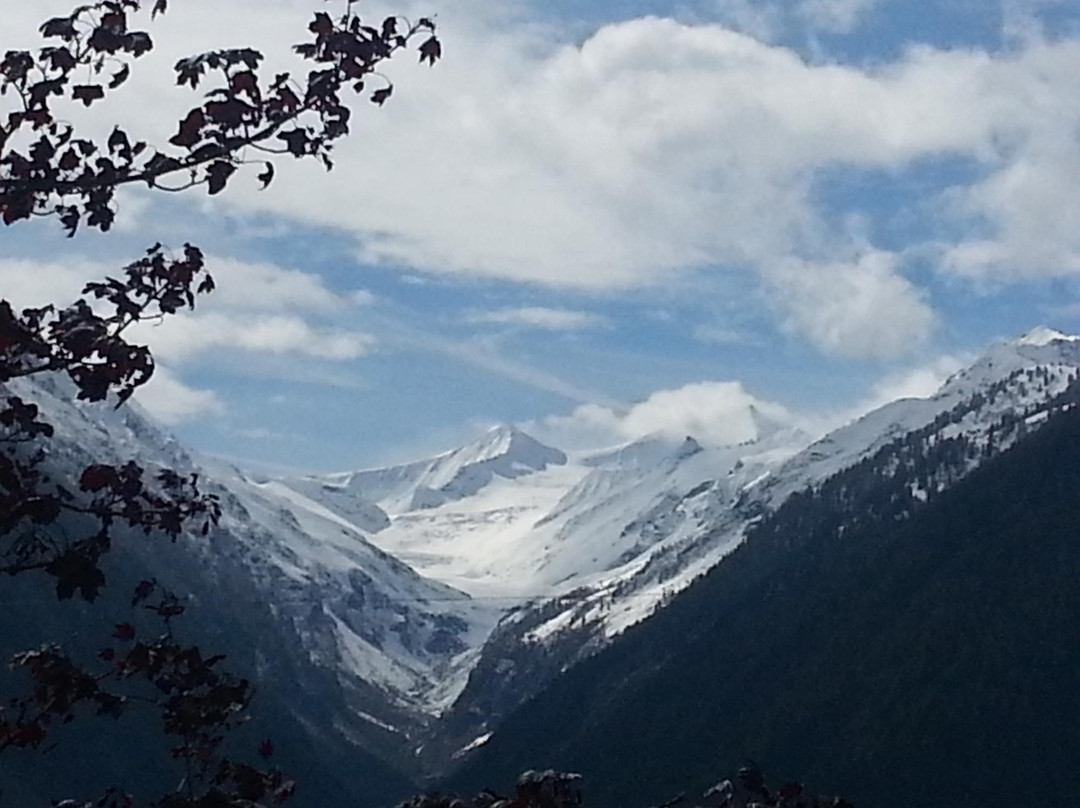 Rosental酒店住宿-Venedigerhof Gasthof