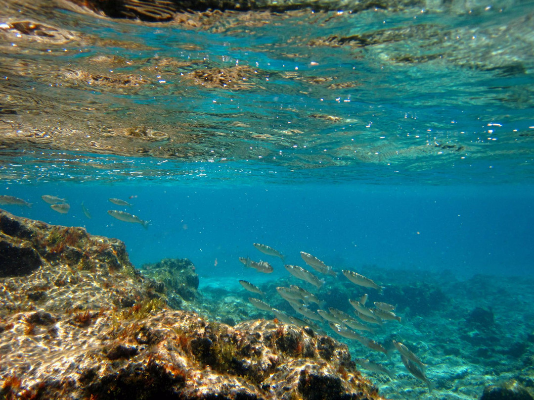 萨可马旅游攻略图片