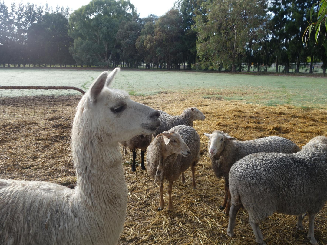 Enderslie House主图