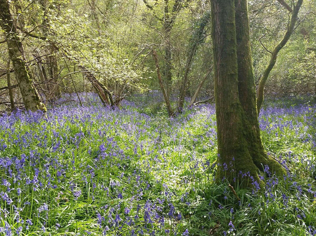 Woods Mill Nature Reserve景点图片