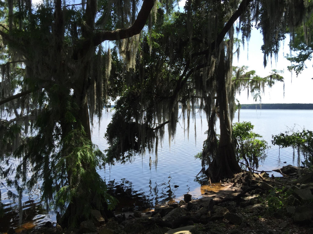 Palm Point Nature Park-盖恩斯维尔必去景点