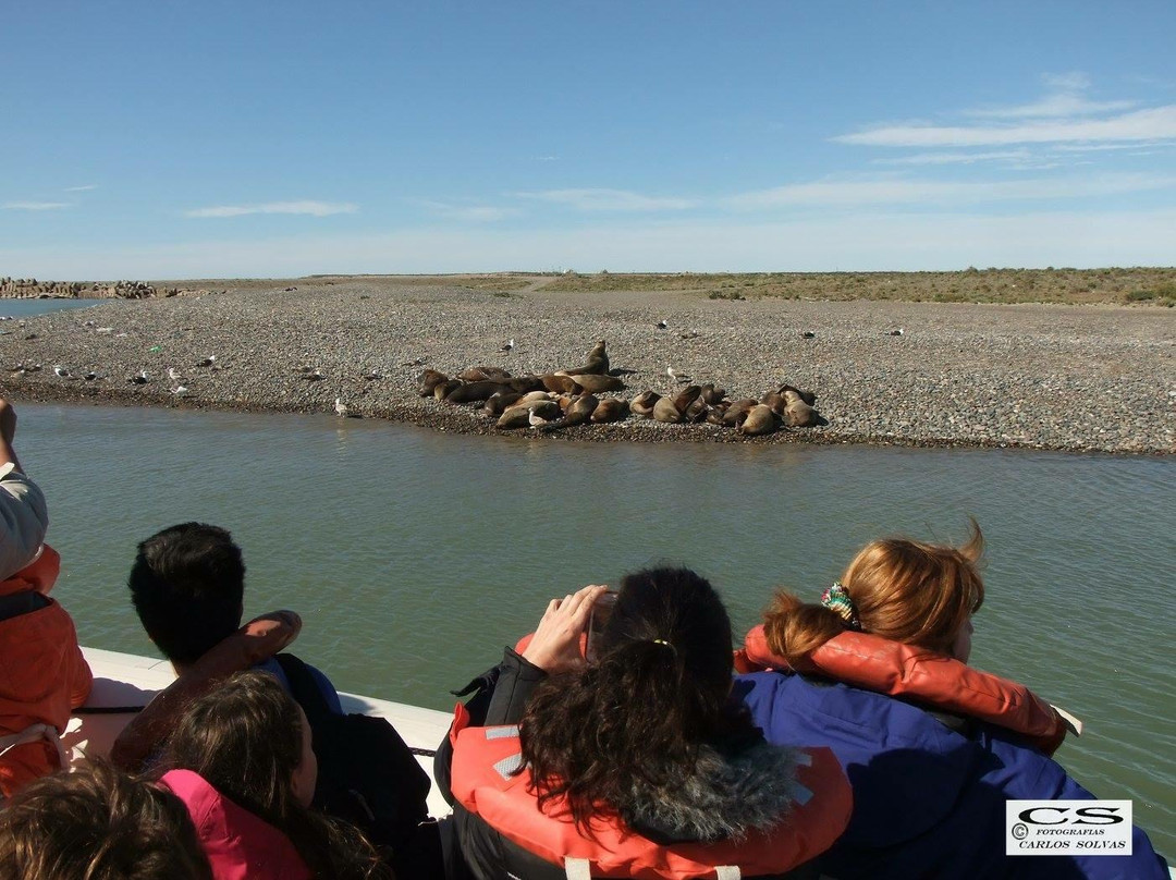 Toninas Adventure-Puerto Rawson必去景点