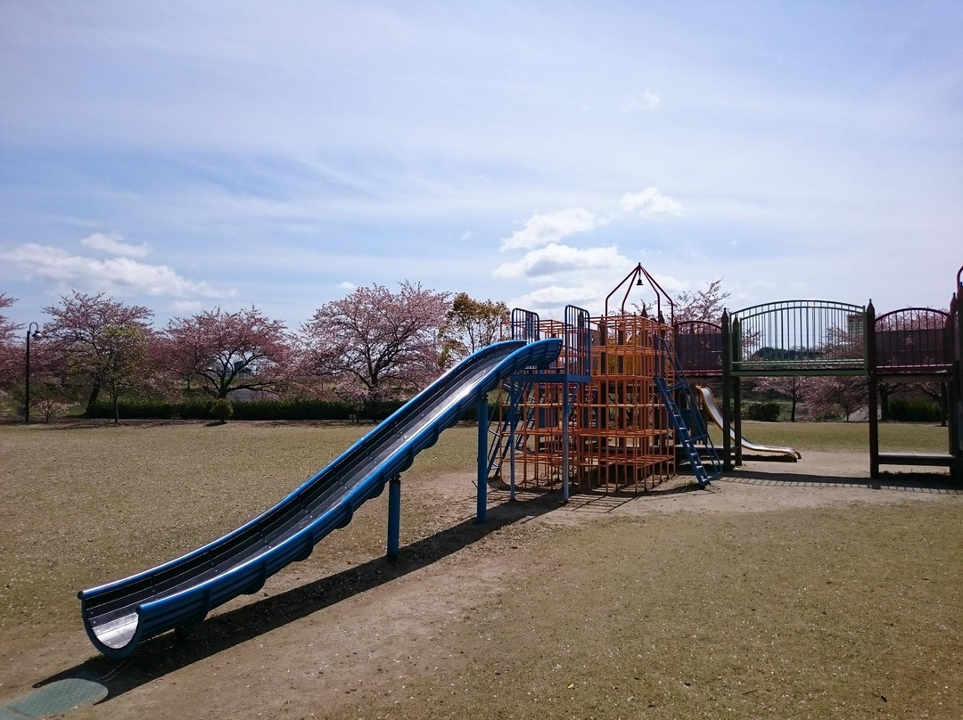 Iris Park Mizono-桑名市必去景点