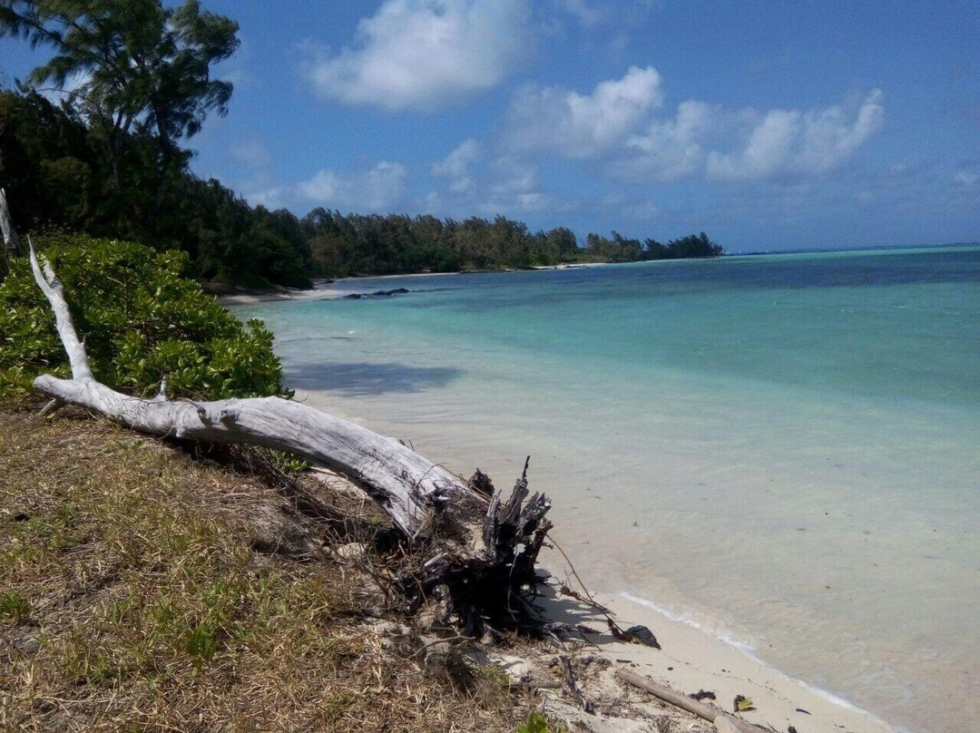 Paradisio Excursions Ile Maurice-大湾必去景点