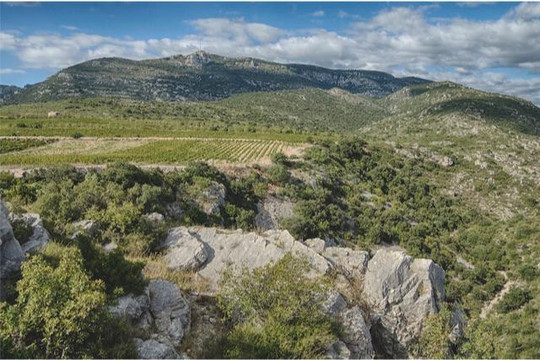 Le Domaine du Joncas