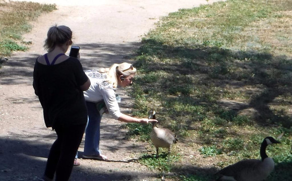 Lindo Lake County Park-Lakeside必去景点