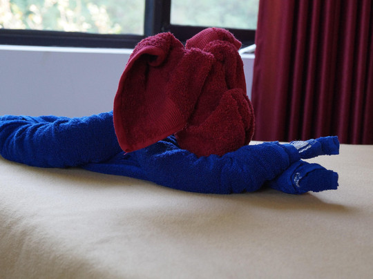 Grace Inn Homestay Munnar主图