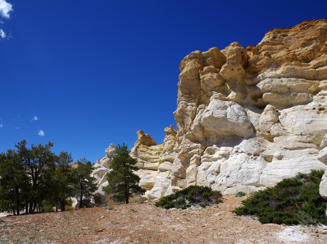 Castle Gardens Petroglyph Site-Riverton必去景点