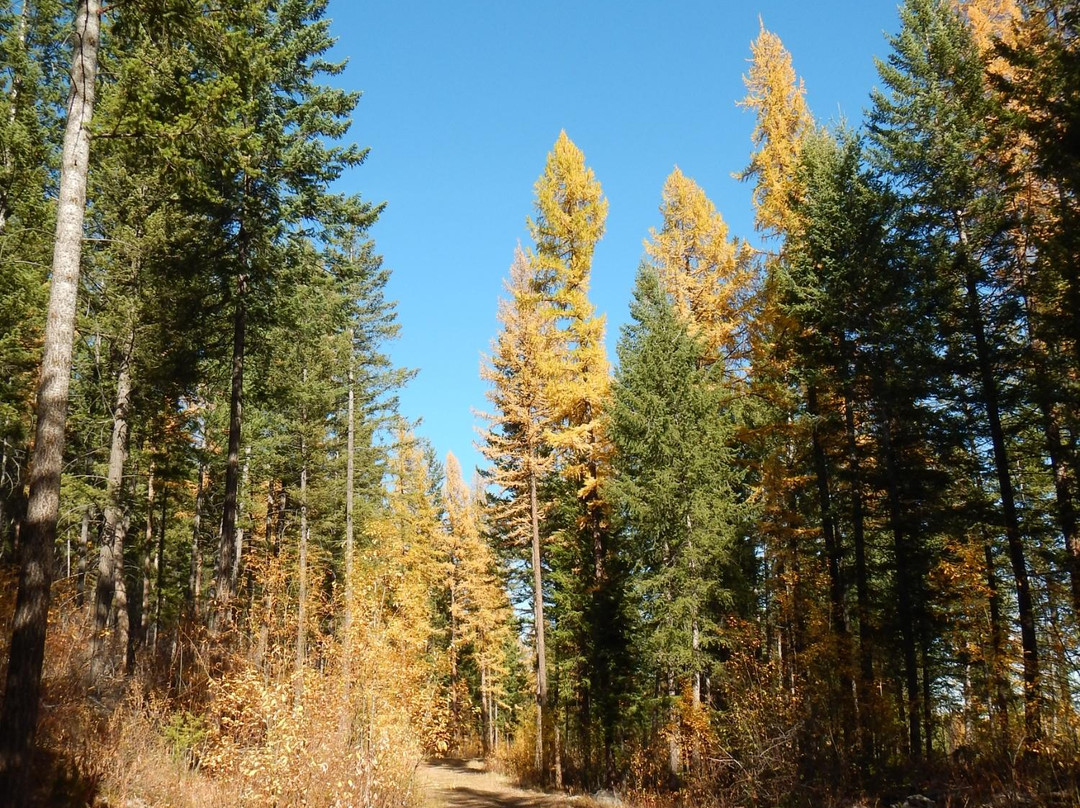 Kimberley Nature Park景点图片