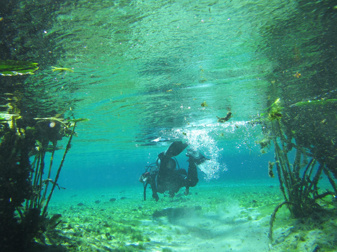 Dayo Scuba-奥兰多必去景点