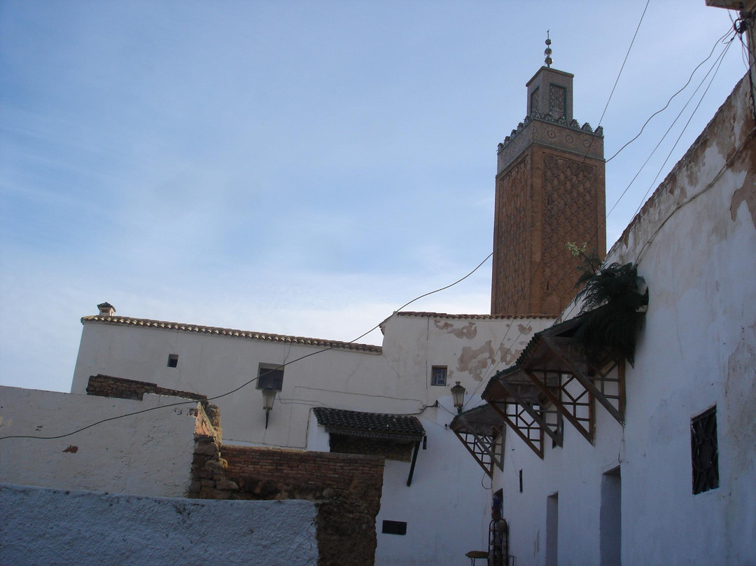 Mosquée Sidi Boumediene景点图片