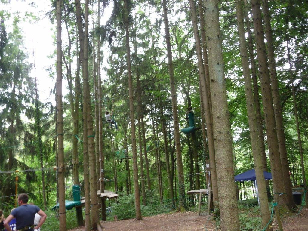 Forêt'Vasion景点图片