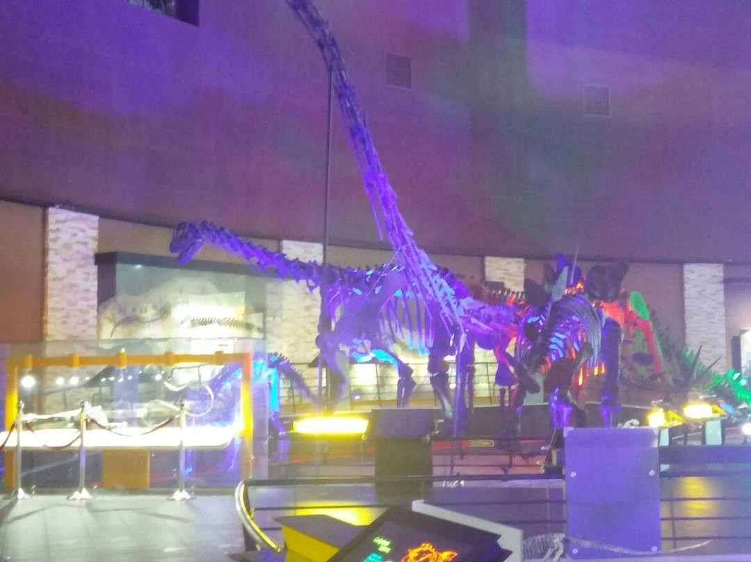 Haenam Dinosaur Museum-海南郡必去景点