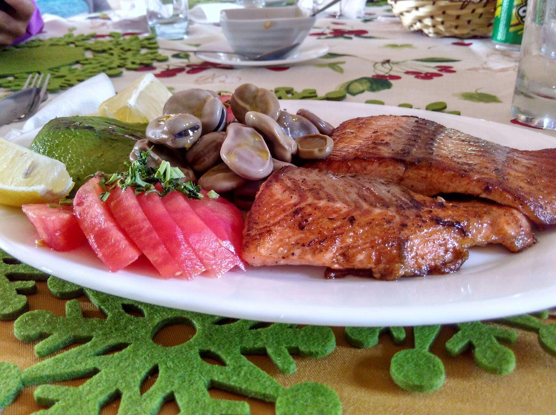 Puerto Raul Marin Balmaceda餐馆和美食-Rancho Cipres de las Guaitecas