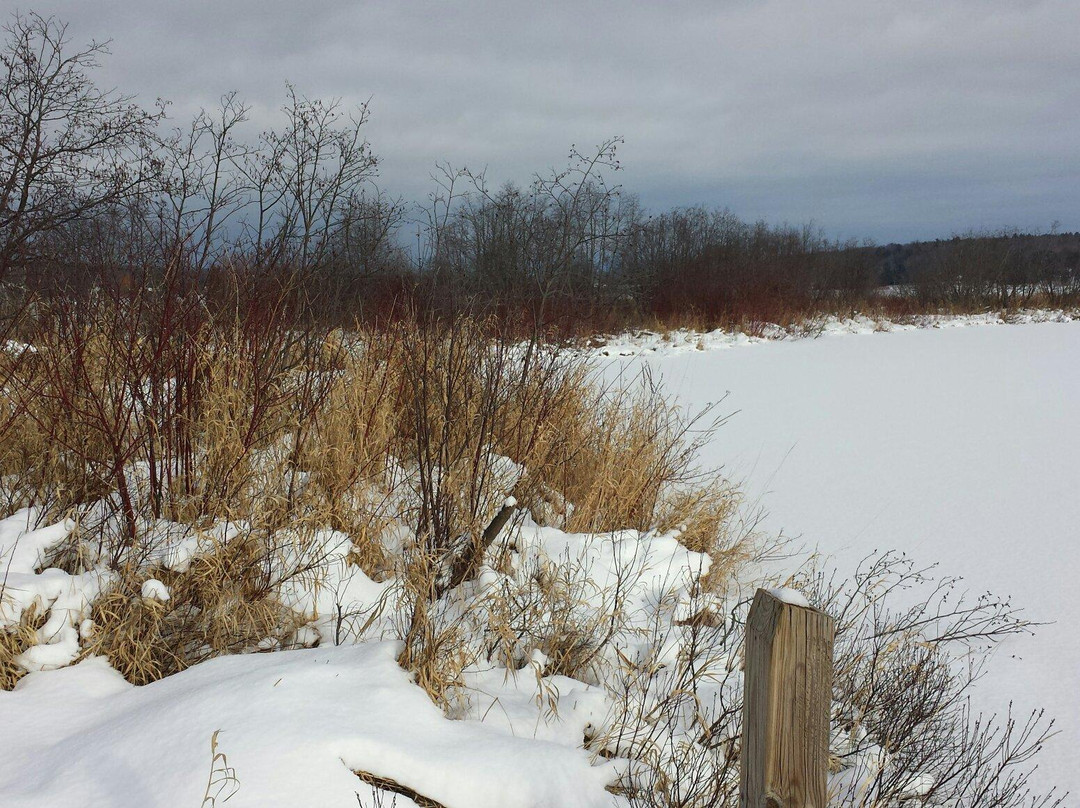 Nara Nature Park-霍顿必去景点